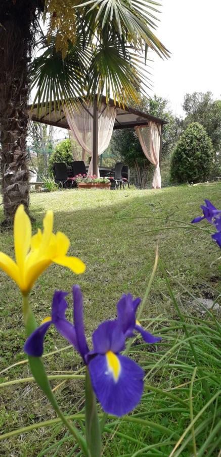Casa Betania Casa Per Ferie Hotel Florence Ngoại thất bức ảnh